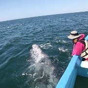 IMG 0001 2 (330)